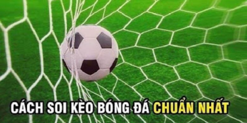 cập nhật kèo thể thao Cách đọc và phân tích kèo thể thao chính xác