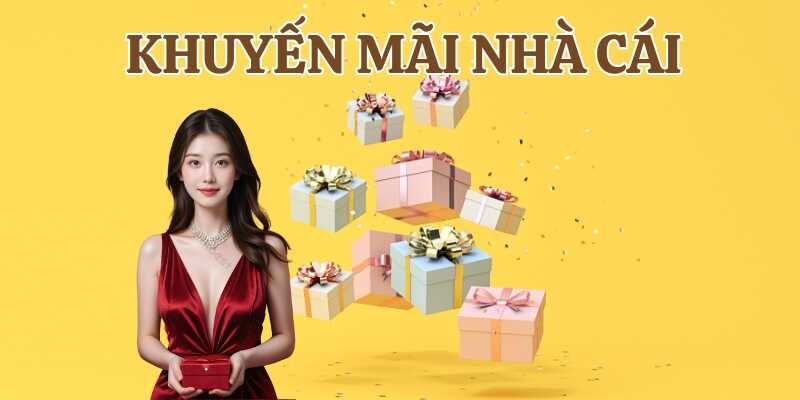 Giới thiệu tổng quan về khuyến mãi tại các nhà cái