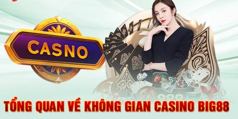 Giới thiệu tổng quan về Big88