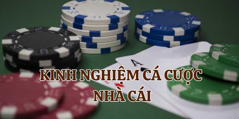 Tầm quan trọng của kinh nghiệm cá cược nhà cái