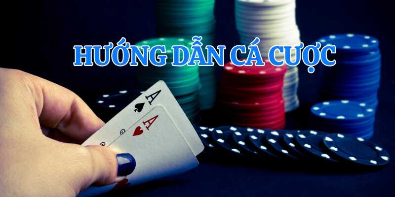 Tham khảo tầm quan trọng của hướng dẫn cá cược