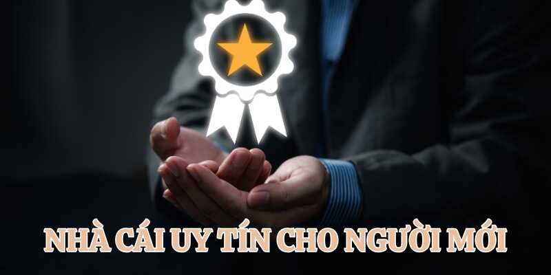 Tham khảo tiêu chí đánh giá nhà cái uy tín cho người mới