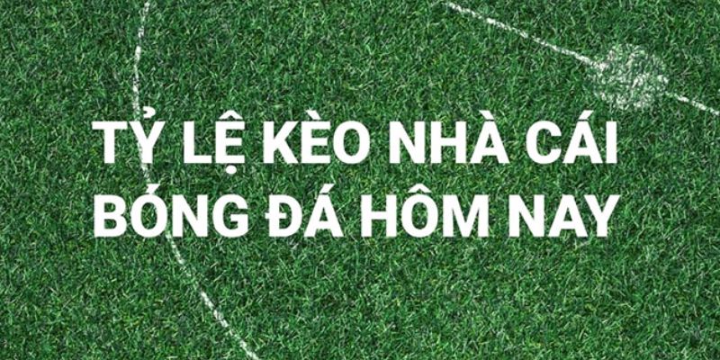 Vì sao nên cập nhật kèo thể thao mỗi ngày?